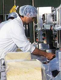 Allansford Cheese World - South Australia Travel 1