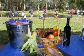 Buxton Trout And Salmon Farm - South Australia Travel 2