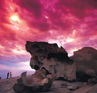 Kangaroo Island Adventure Tour 2 day/1 night - South Australia Travel