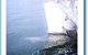Temptation Sailing - thumb 1