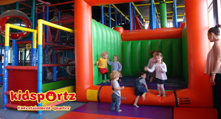 Cool Cats - South Australia Travel 1