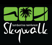 Rainforest Skywalk - South Australia Travel 0