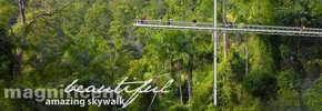 Rainforest Skywalk - South Australia Travel 2