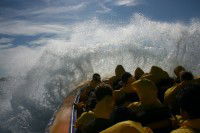 Jetboating Sydney - South Australia Travel 1