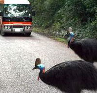 Kookaburra Tours - South Australia Travel