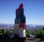 Mount Tamborine Winery  Homestead - South Australia Travel