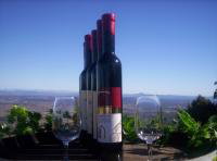 Mount Tamborine Winery & Homestead - South Australia Travel 0