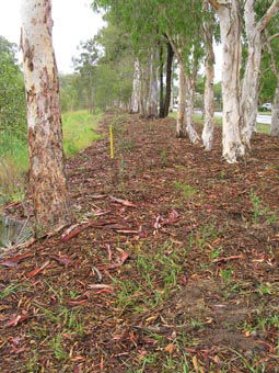 Kumbartcho Sanctuary - South Australia Travel 1
