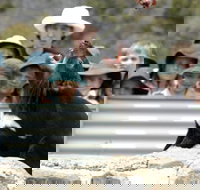 Tasmania Zoo - South Australia Travel