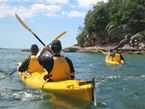 Sydney Harbour Kayaks - South Australia Travel 1