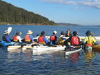 Sydney Harbour Kayaks - South Australia Travel 2