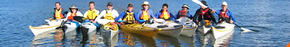 Sydney Harbour Kayaks - South Australia Travel 3