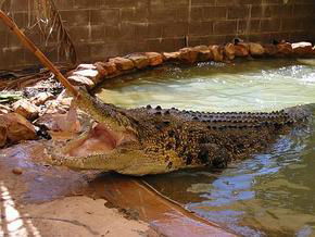  South Australia Travel
