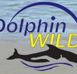 Dolphin Wild - South Australia Travel
