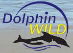 Dolphin Wild - South Australia Travel 0