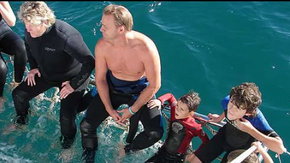 Dolphcom - Dolphin & Whale Swimming Adventures - South Australia Travel 2