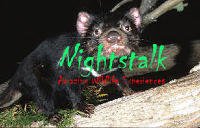 Something Wild - South Australia Travel 1