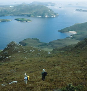 Roaring 40s Kayaking - South Australia Travel 1
