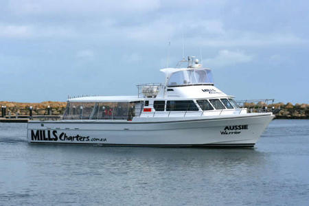 Mills Charters Fishing And Whale Watch Cruises - South Australia Travel 1