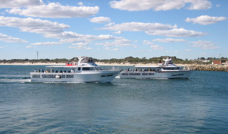 Mills Charters Fishing And Whale Watch Cruises - South Australia Travel 2