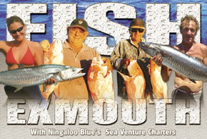 Ningaloo Blue Dive - South Australia Travel 2