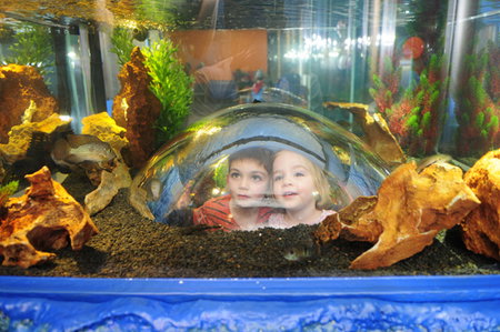 Scitech - South Australia Travel 3