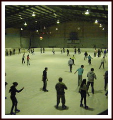 Bendigo Ice Stadium - South Australia Travel 1
