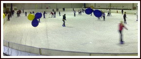 Bendigo Ice Stadium - South Australia Travel 2