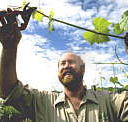 Barossa Experience Tours - South Australia Travel