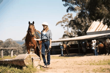 Watsons Trail Rides - South Australia Travel