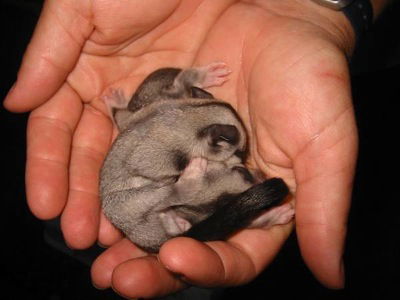  South Australia Travel