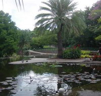 Brisbane City Botanic Gardens - South Australia Travel