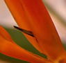Zen Day Spa - South Australia Travel