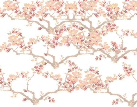 Zen Day Spa - South Australia Travel 3