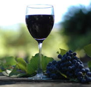 Lion Mill Vineyards - South Australia Travel