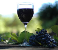 Lion Mill Vineyards - South Australia Travel 0