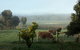 Lion Mill Vineyards - thumb 2