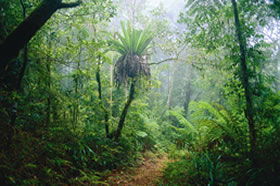 Witheren QLD South Australia Travel