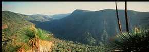 Lamington National Park And OReillys - South Australia Travel 1