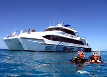 Silver Swift - South Australia Travel 0