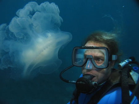 Silver Swift - South Australia Travel 2
