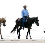 Ride the Beach - South Australia Travel