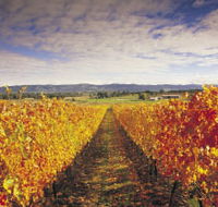Link Tours - South Australia Travel