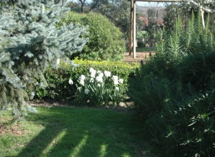 The Old Cheese Factory - South Australia Travel 2