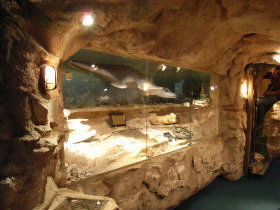 The National Opal Collection - South Australia Travel 2