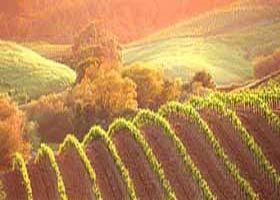 Meridian Tours - South Australia Travel 2