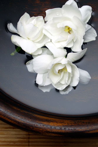Temple Skincare - South Australia Travel 2