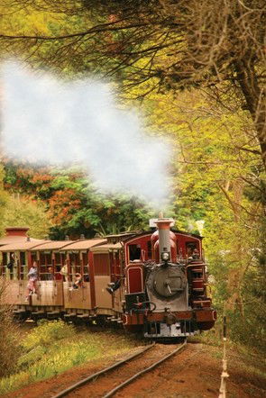 Puffing Billy - South Australia Travel 5