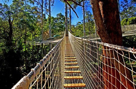 FreemanX Experience - South Australia Travel 2