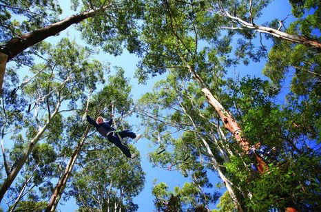 FreemanX Experience - South Australia Travel 5